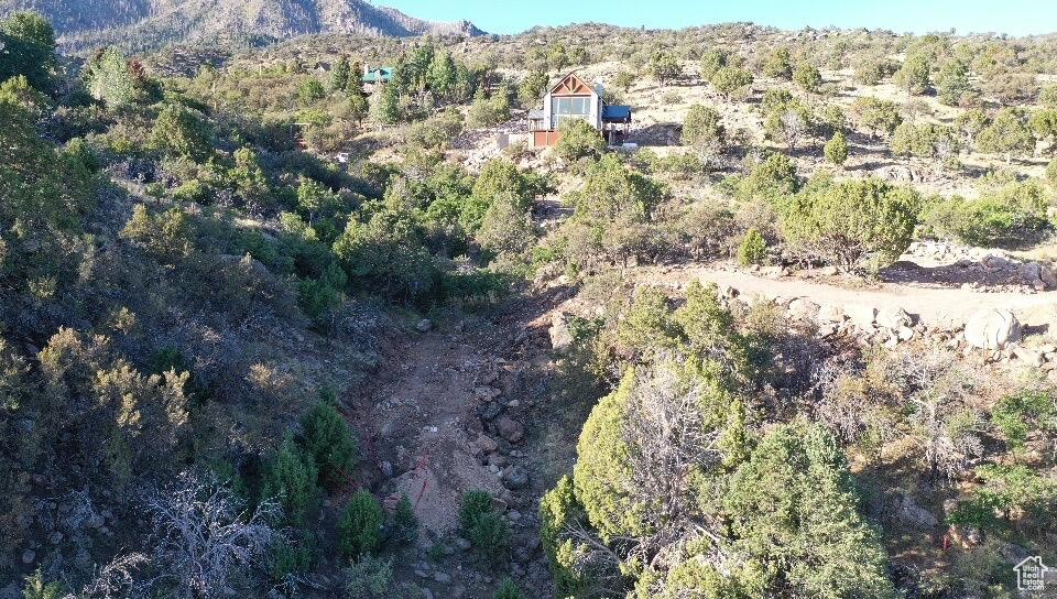 PINE VALLEY RANCHOS - Land