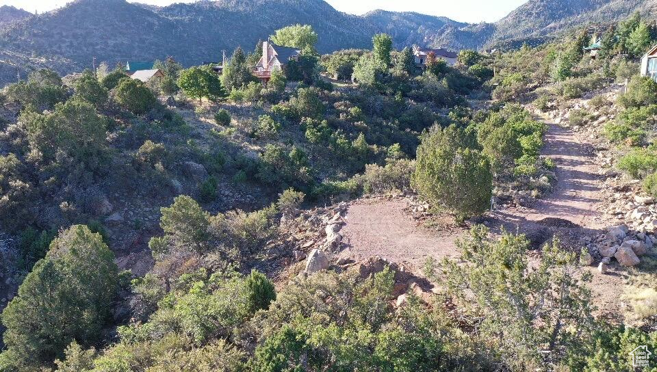 PINE VALLEY RANCHOS - Land