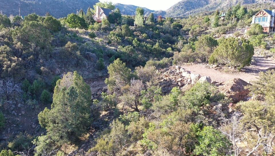 PINE VALLEY RANCHOS - Land