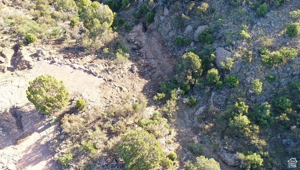 PINE VALLEY RANCHOS - Land