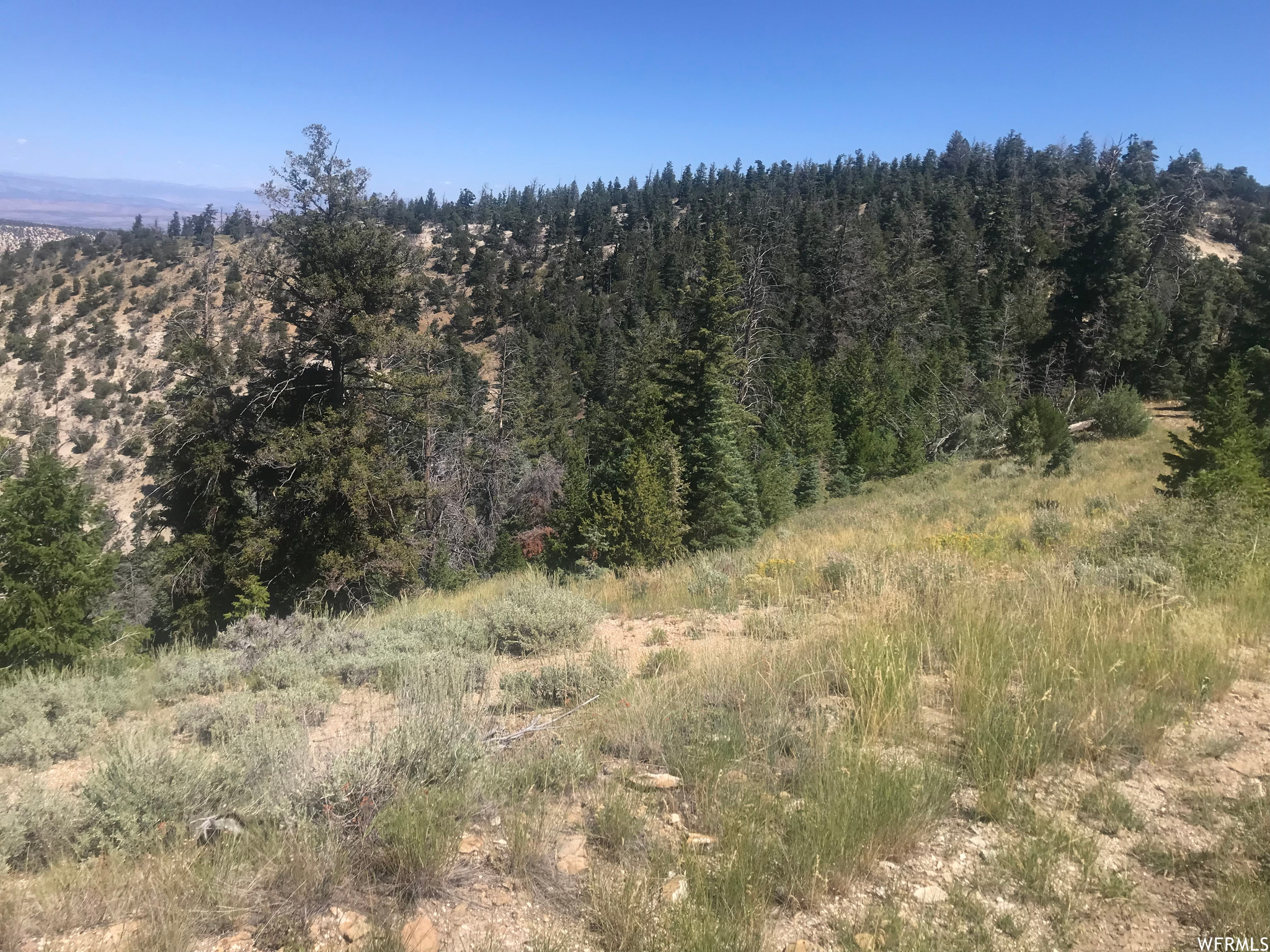 Land, Duchesne, Utah image 8