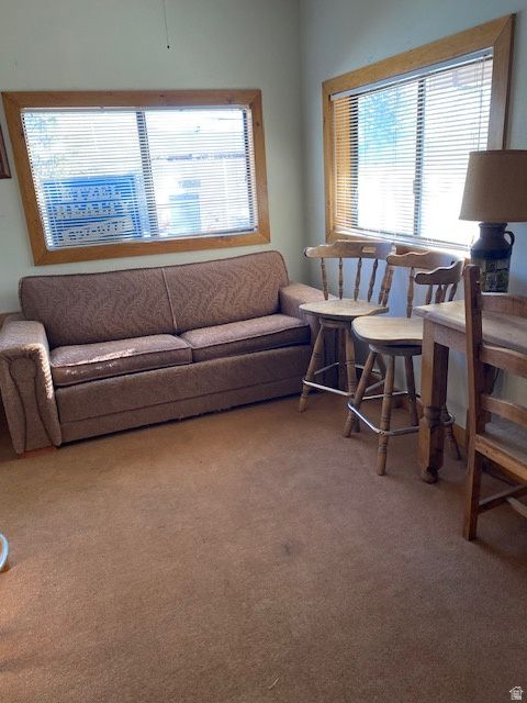 Tiny photo for 913 E 5300 N, Scofield, UT 84526 (MLS # 2075020)