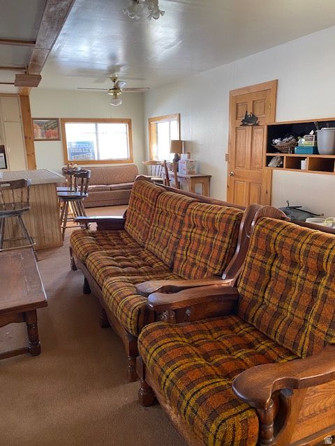 Tiny photo for 913 E 5300 N, Scofield, UT 84526 (MLS # 2075020)