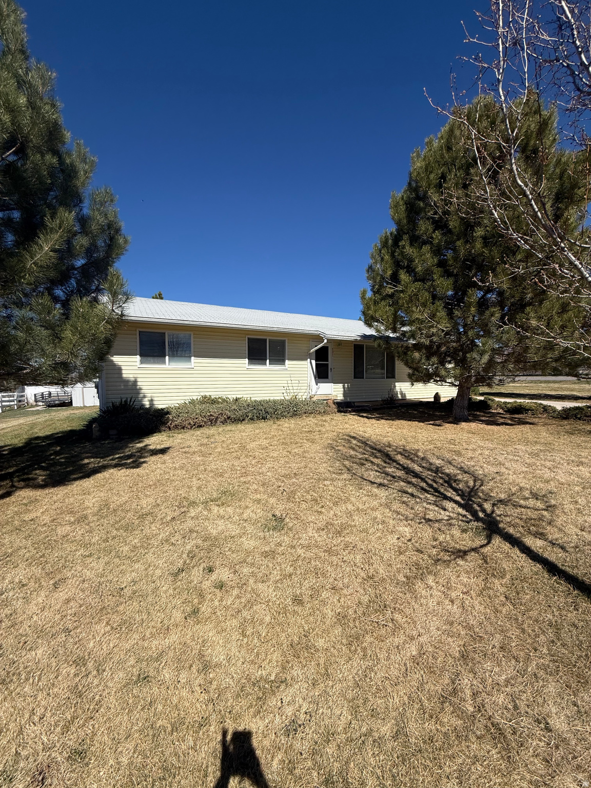 YOUNG PROPERTY - Residential