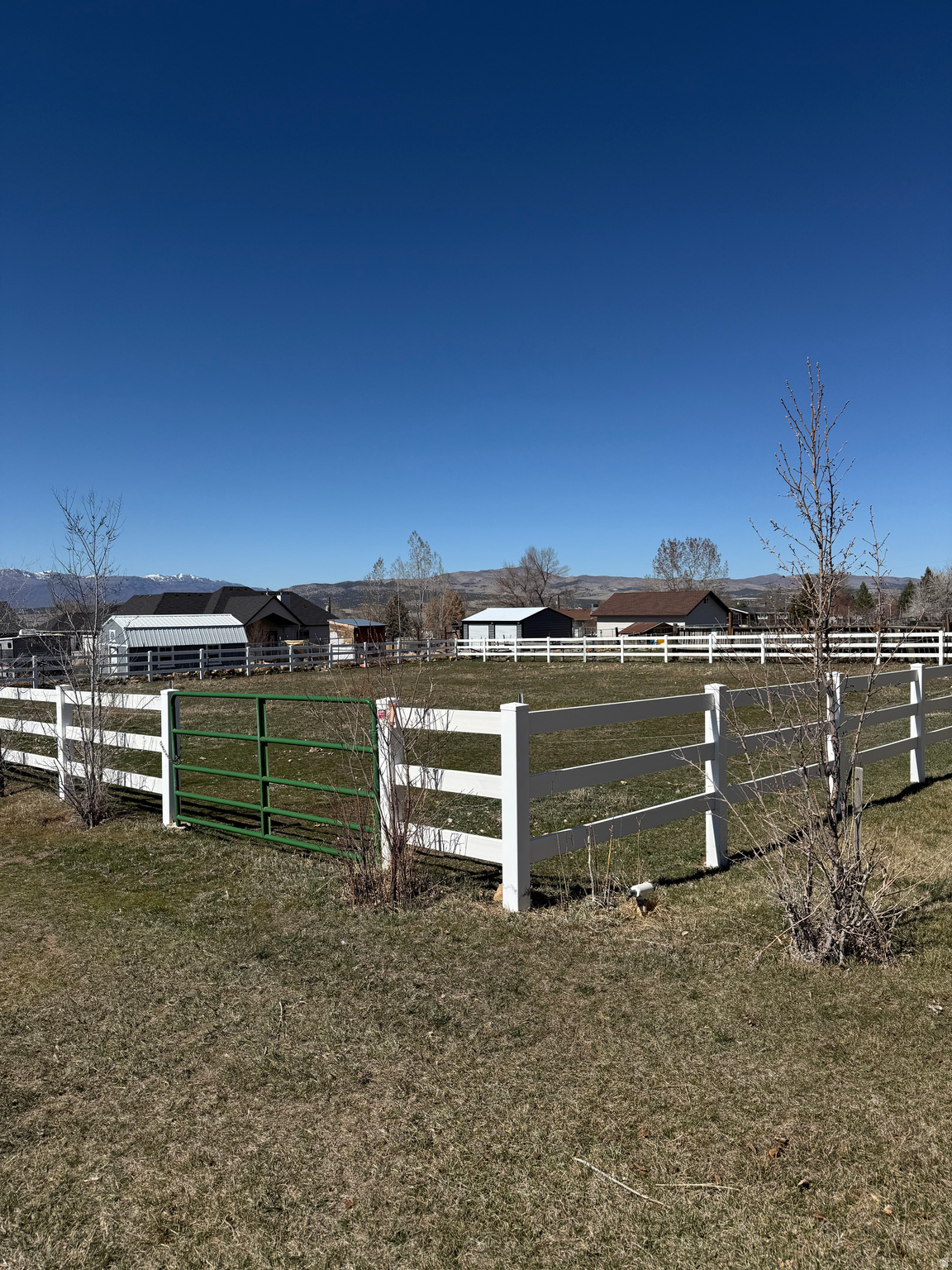 YOUNG PROPERTY - Residential