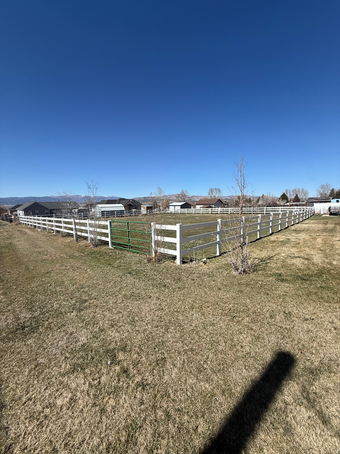 YOUNG PROPERTY - Residential