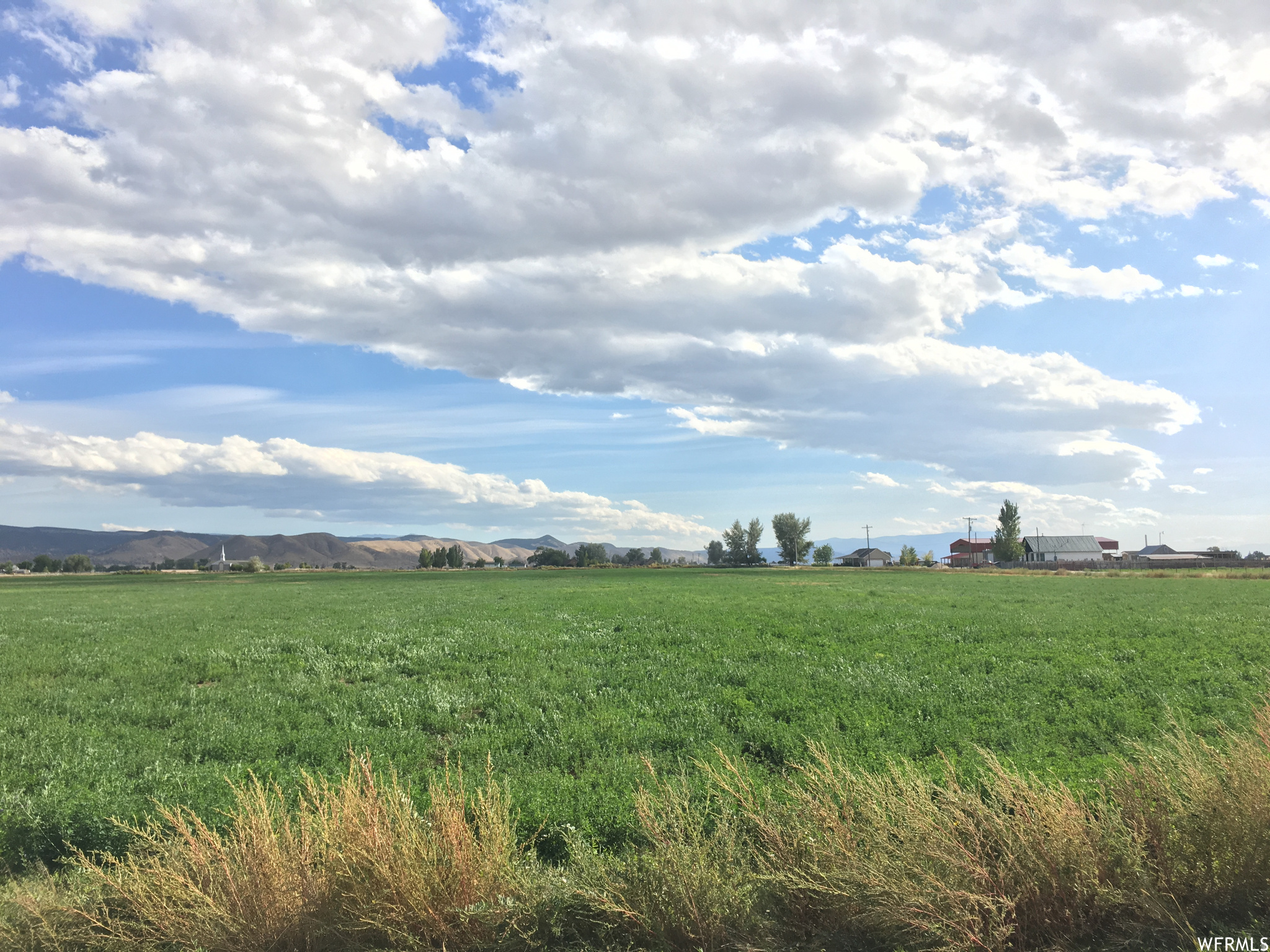 YOUNG PROPERTY - Land