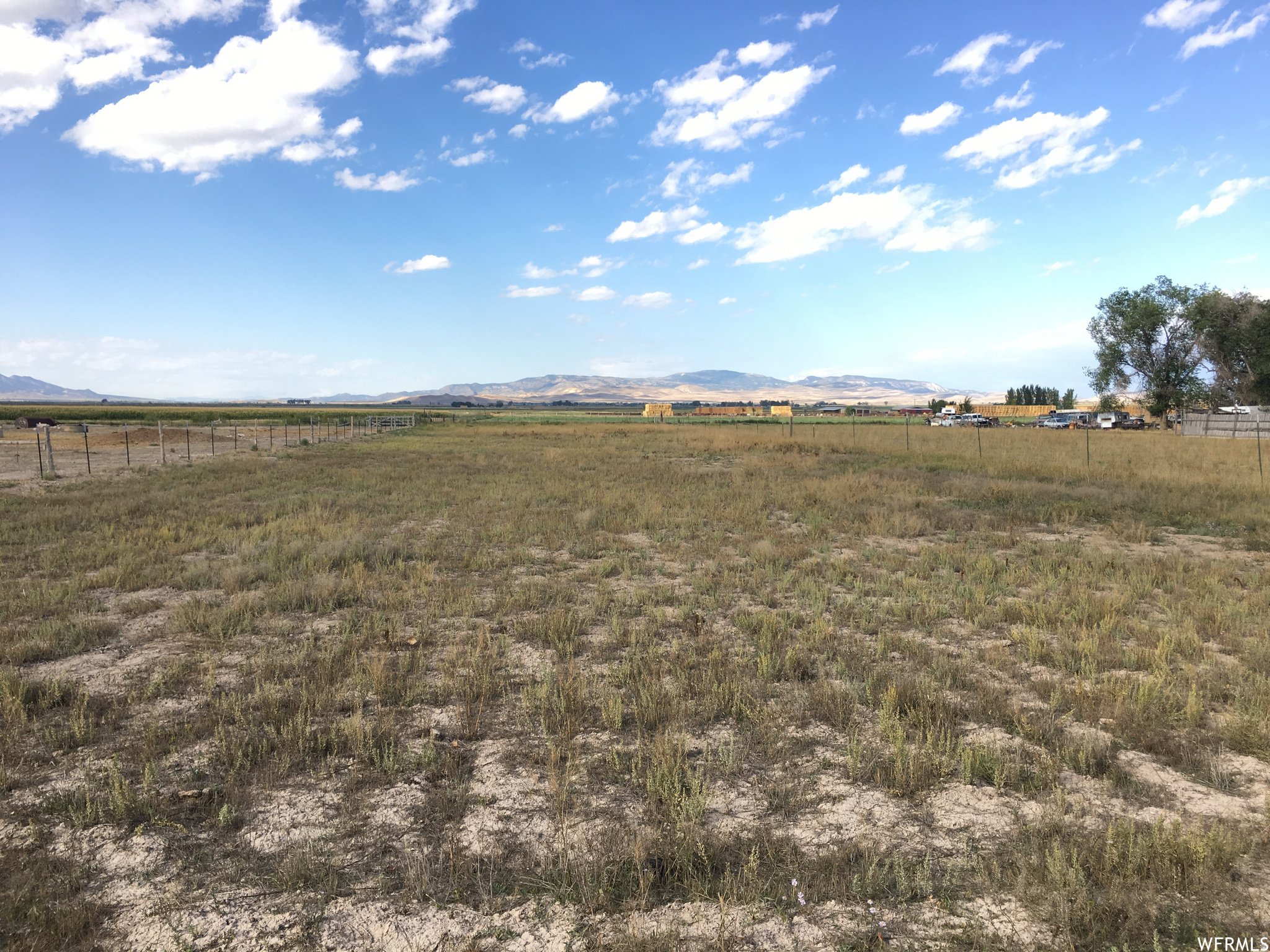 YOUNG PROPERTY - Land