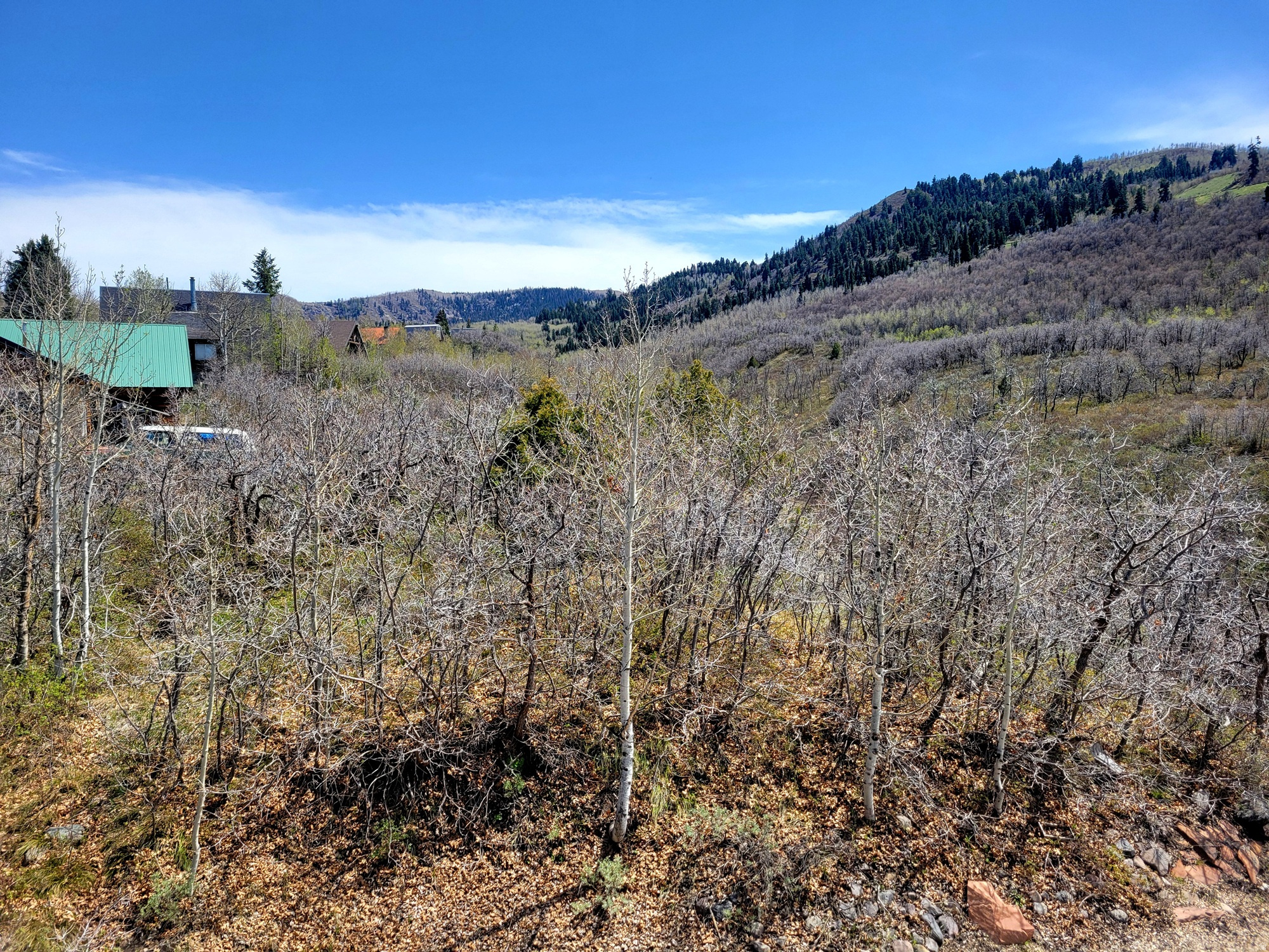 TIMBER LAKES - Residential