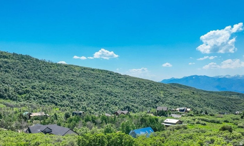 TIMBER LAKES - Residential