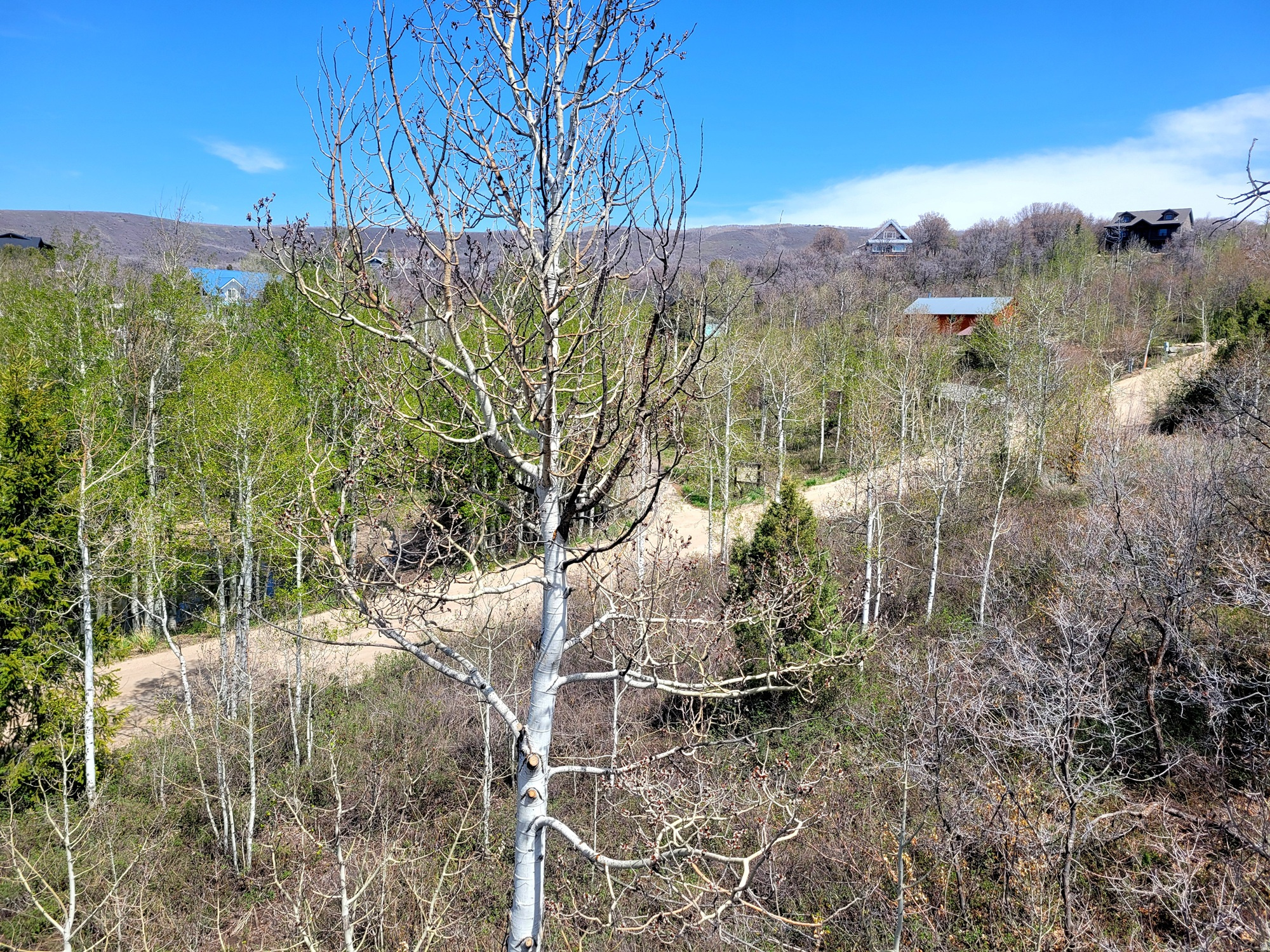 TIMBER LAKES - Residential