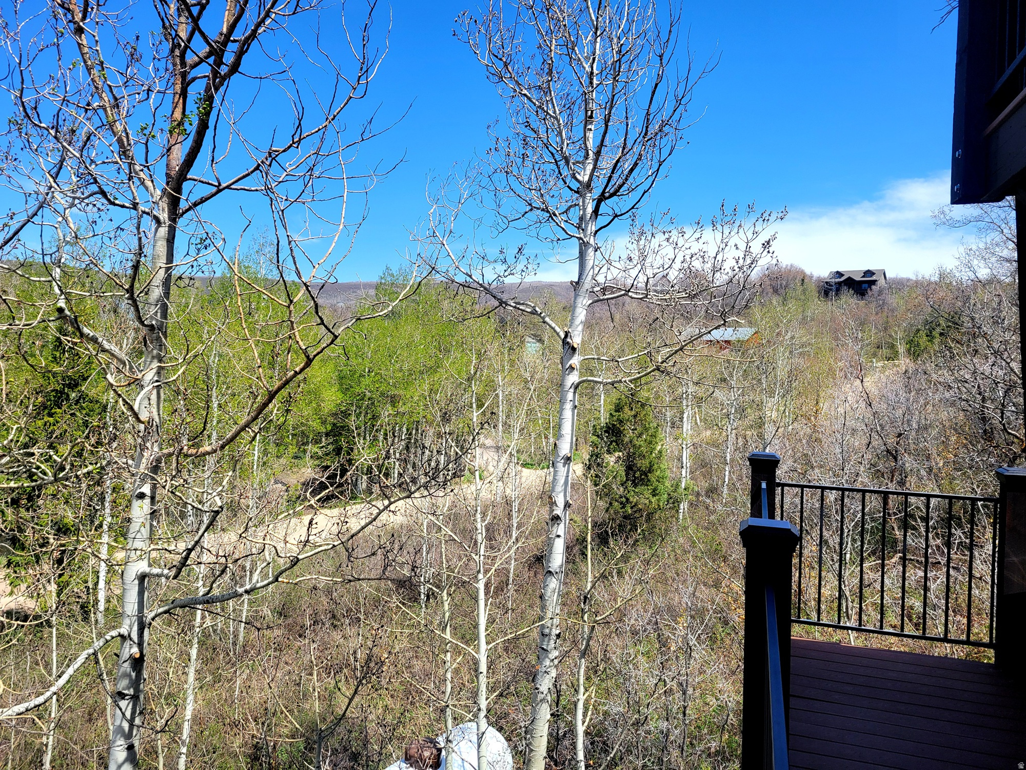 TIMBER LAKES - Residential