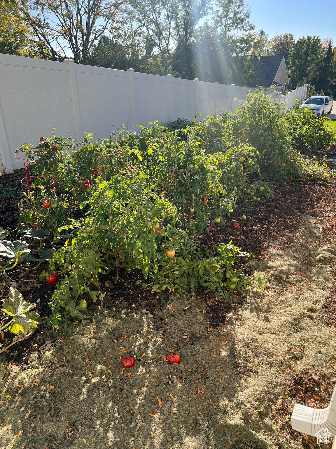 SUNRIDGE - Residential