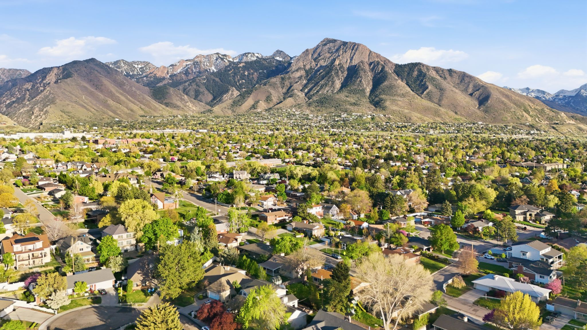 CAMBROSE - Residential