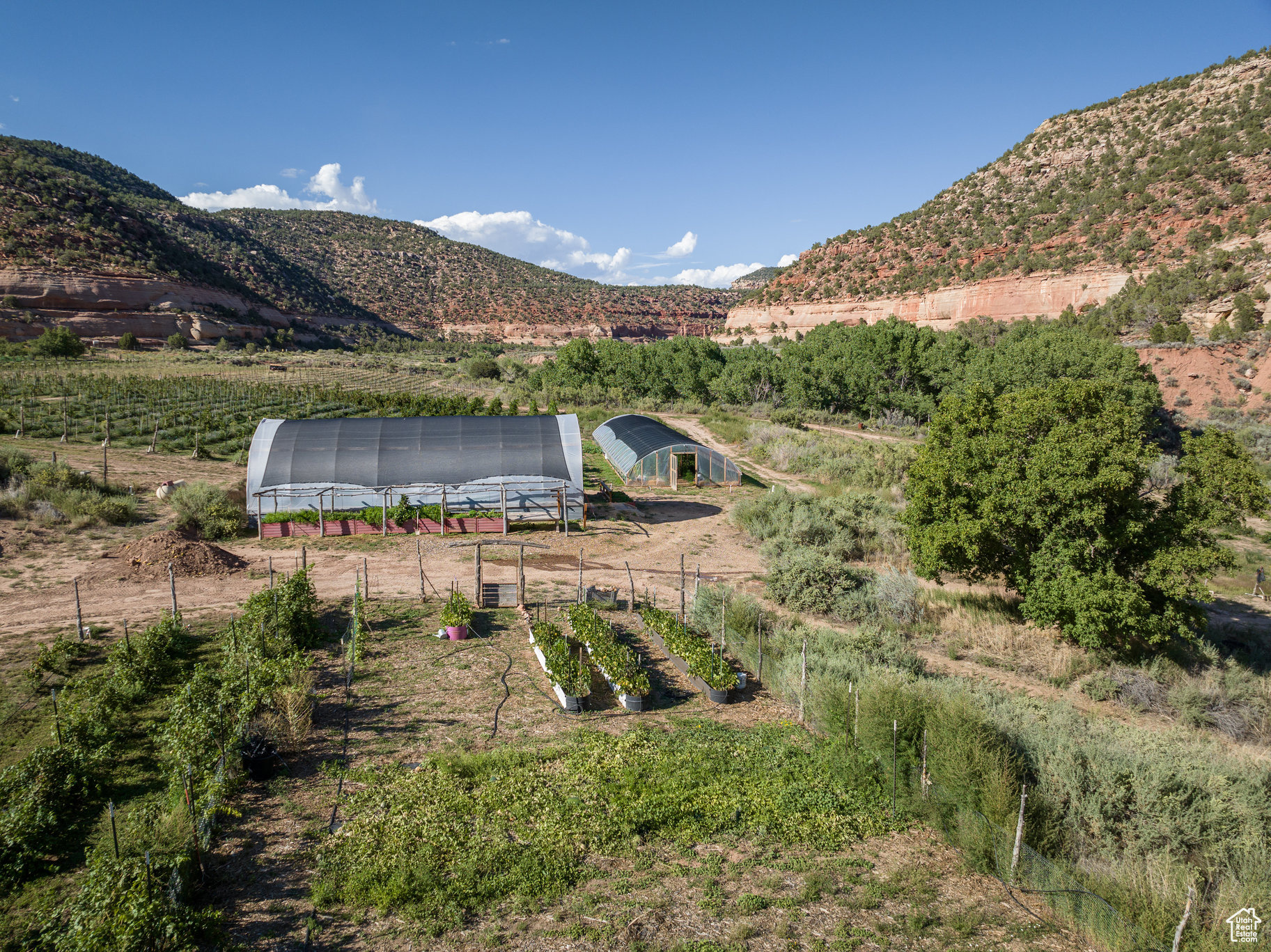 1035 Montezuma Cyn, Monticello, Utah image 29