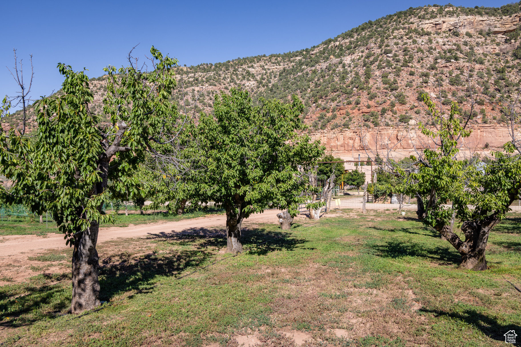 1035 Montezuma Cyn, Monticello, Utah image 20