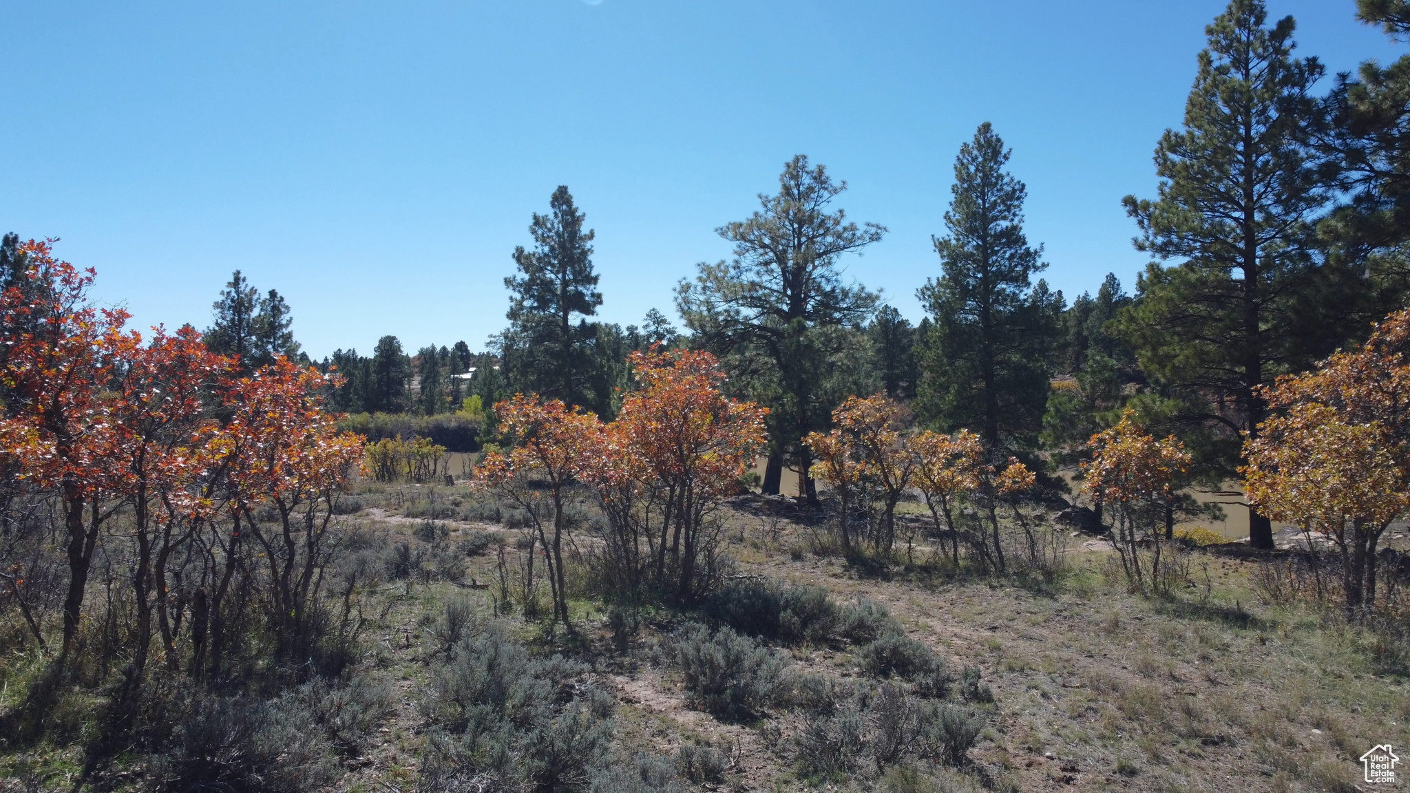 LONG CANYON ESTATES SUBDIVISION - Residential