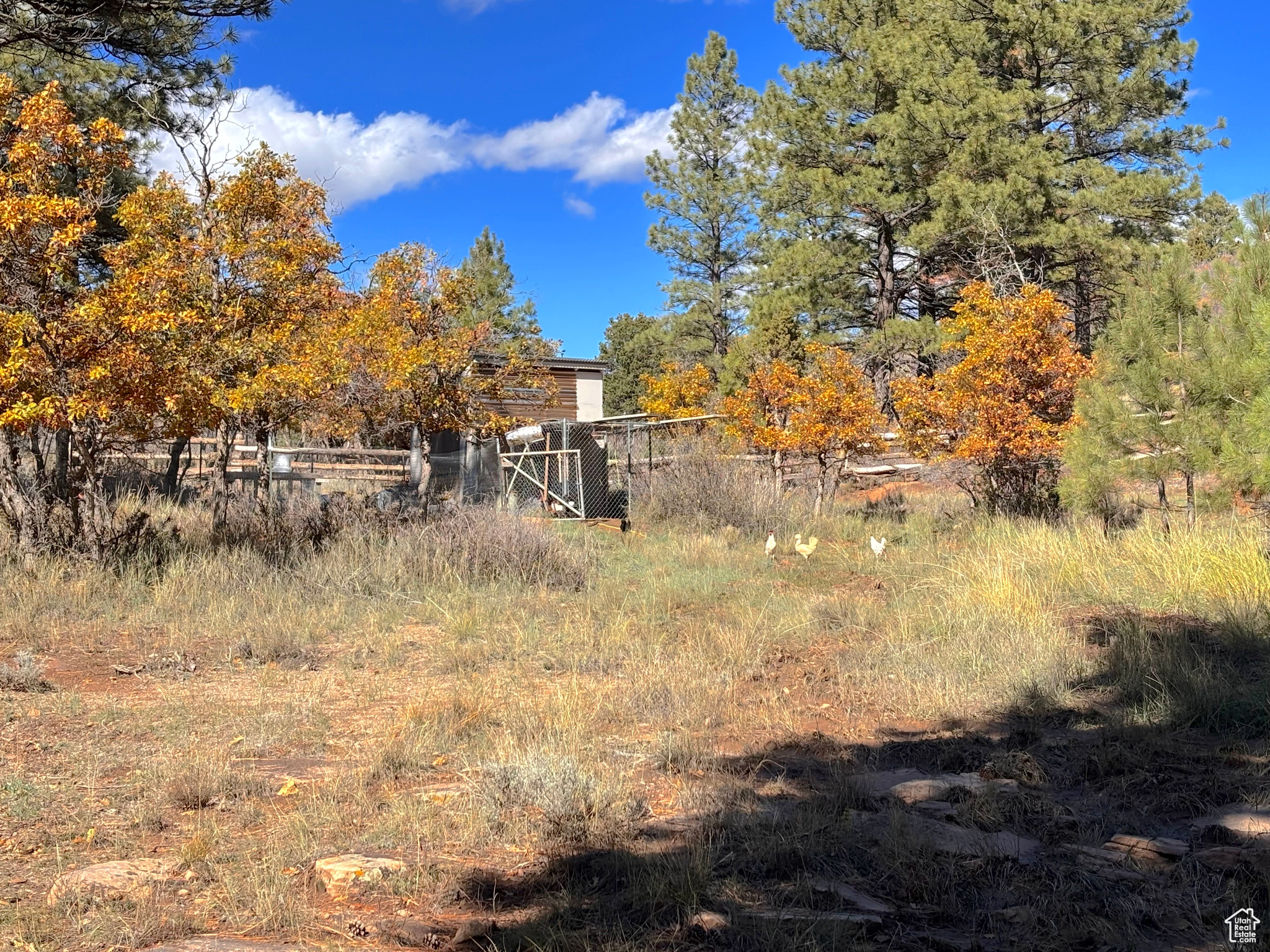 LONG CANYON ESTATES SUBDIVISION - Residential