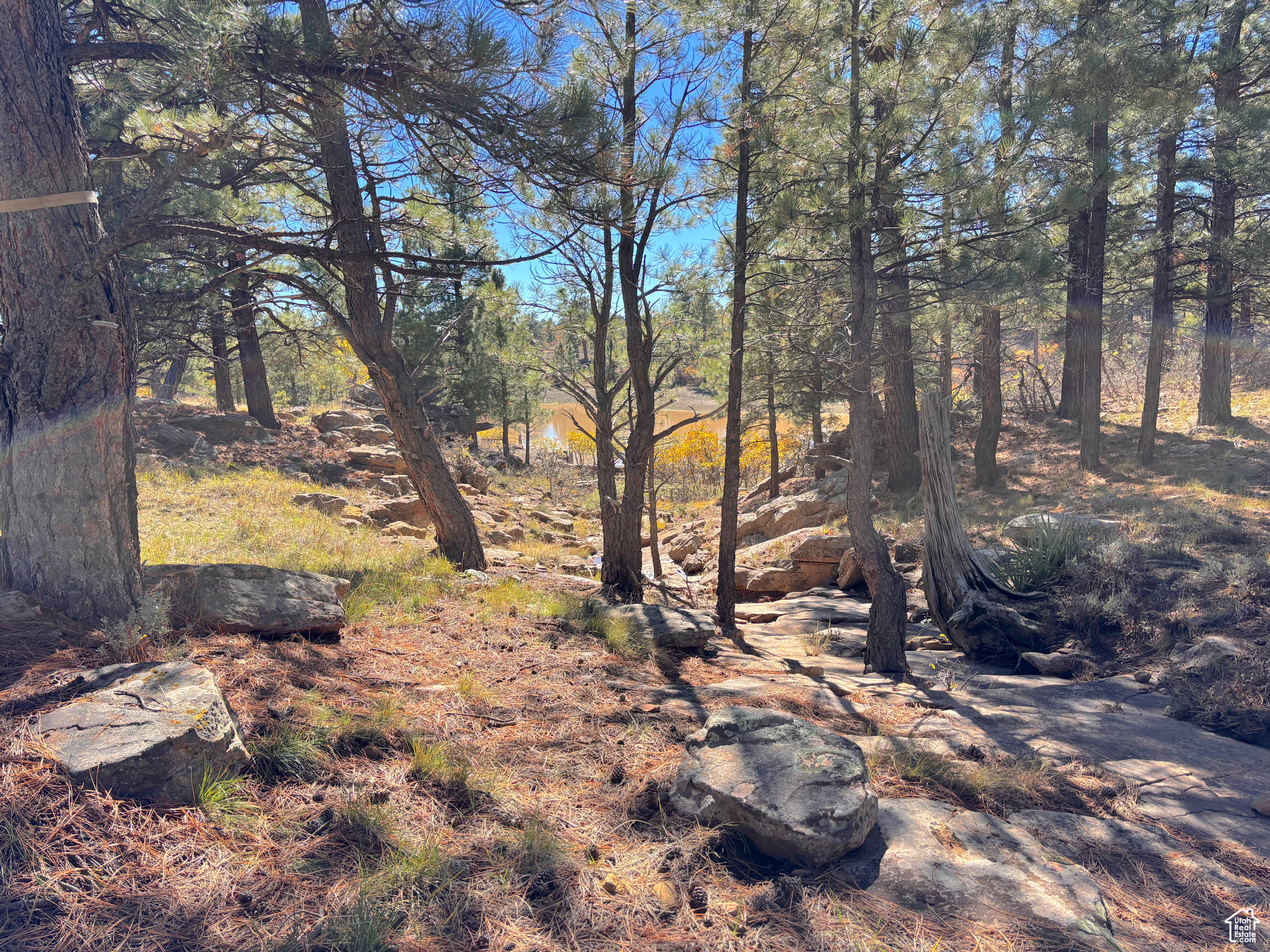 LONG CANYON ESTATES SUBDIVISION - Residential