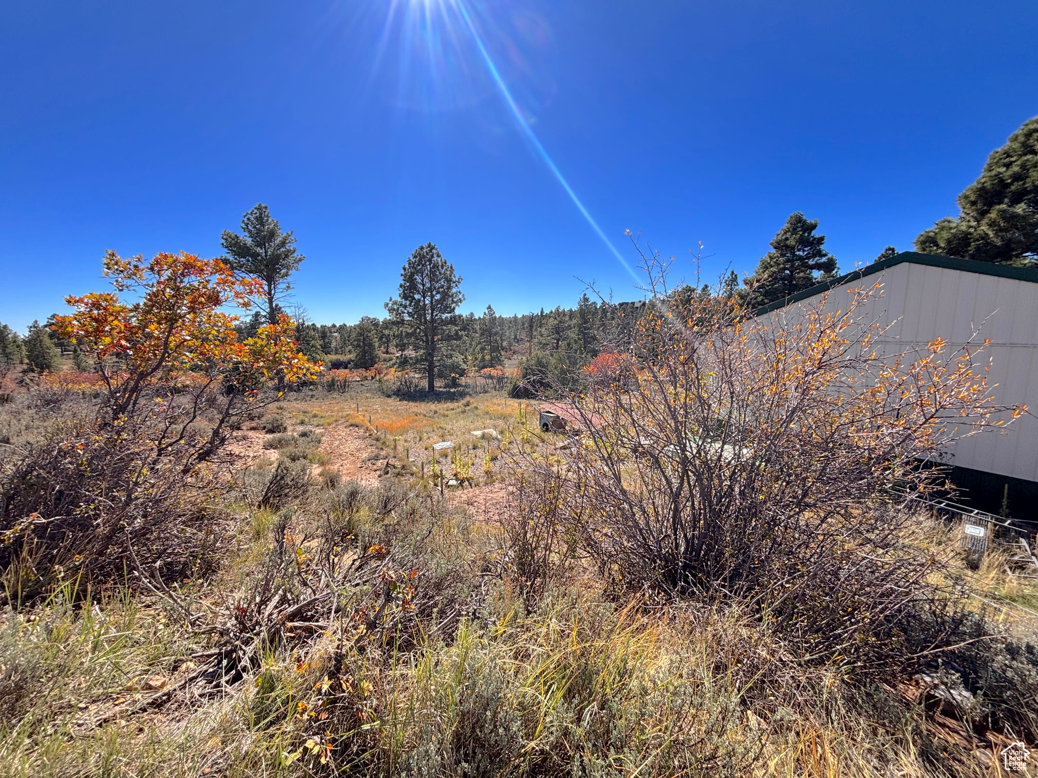 LONG CANYON ESTATES SUBDIVISION - Residential