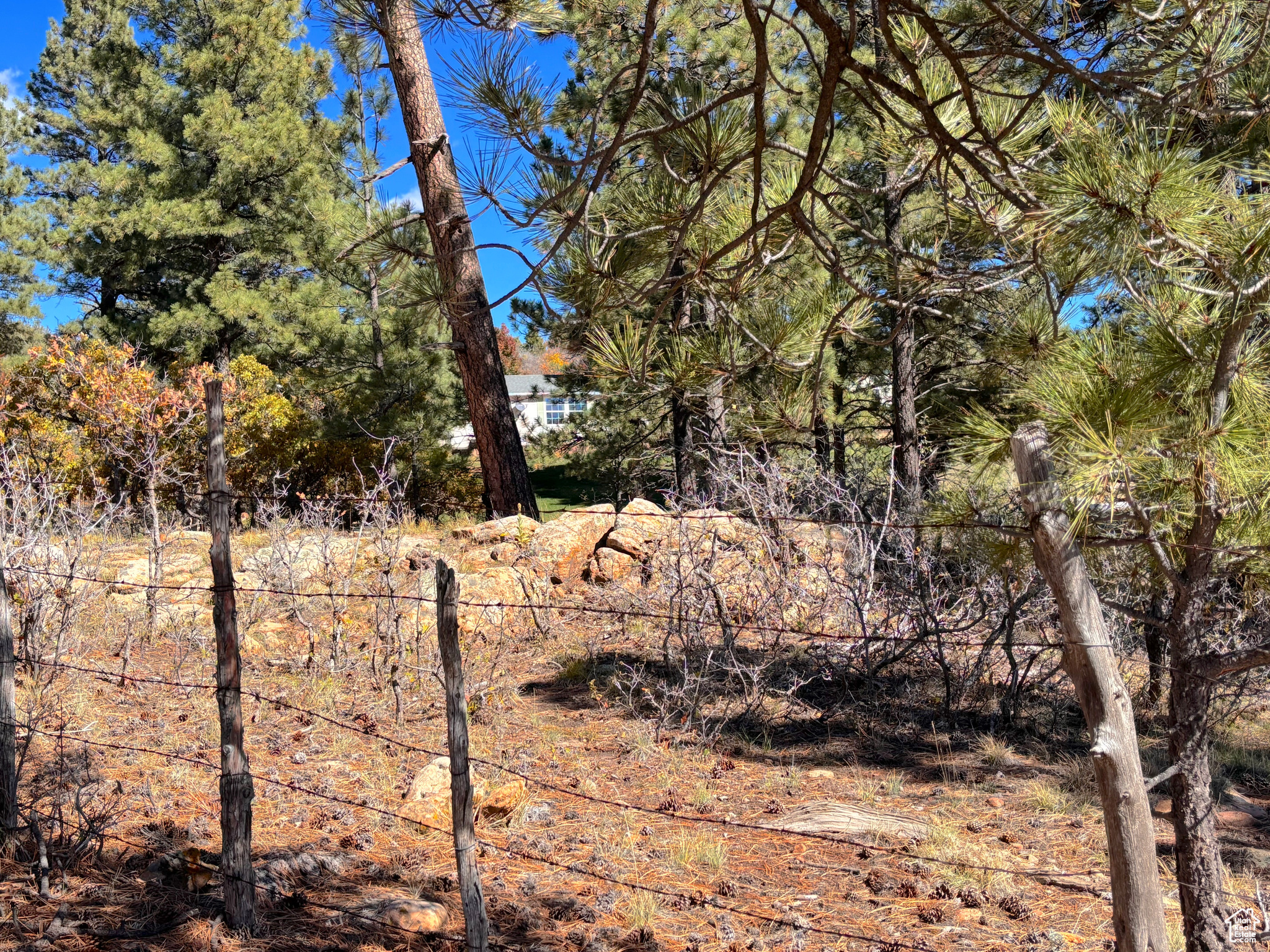 LONG CANYON ESTATES SUBDIVISION - Residential