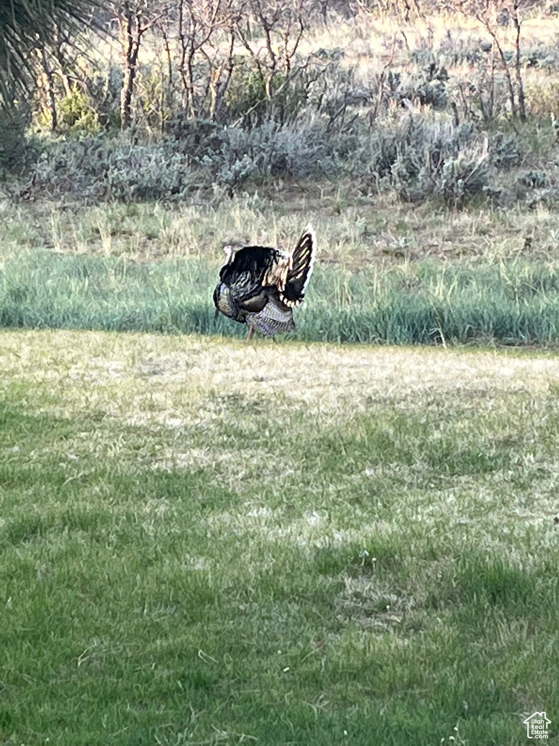 LONG CANYON ESTATES SUBDIVISION - Residential