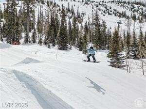 CEDAR BREAKS LODGE - Residential