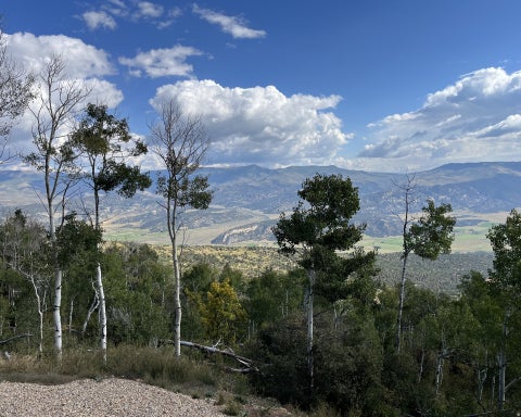 Vacant Land For Sale - #31<br/> Duchesne County, Tabiona, UT 84072