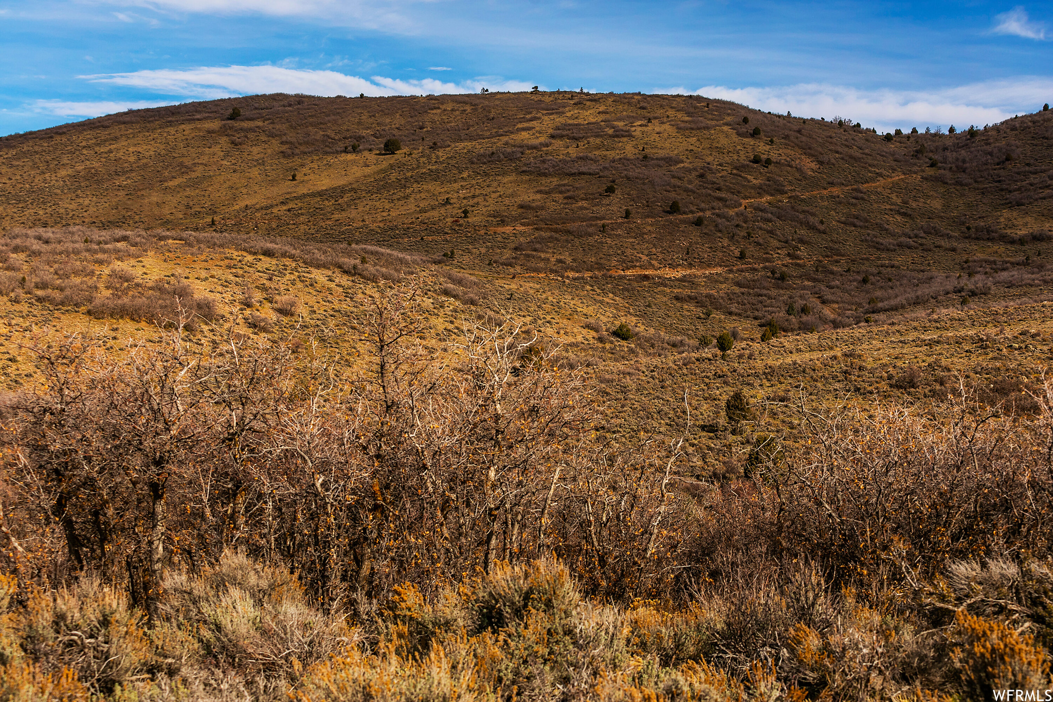 1181 Big Sky Trl #39, Francis, Utah image 6