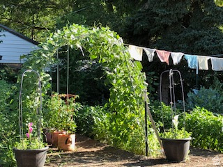 IRFRED PARK SUB - Residential