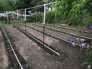 IRFRED PARK SUB - Residential