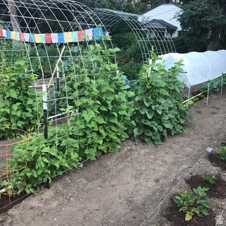 IRFRED PARK SUB - Residential