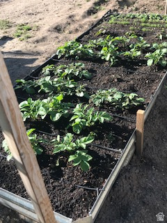 IRFRED PARK SUB - Residential