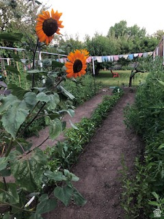 IRFRED PARK SUB - Residential