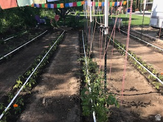 IRFRED PARK SUB - Residential