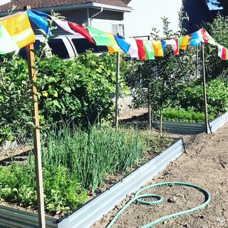 IRFRED PARK SUB - Residential