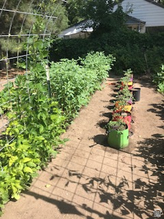 IRFRED PARK SUB - Residential