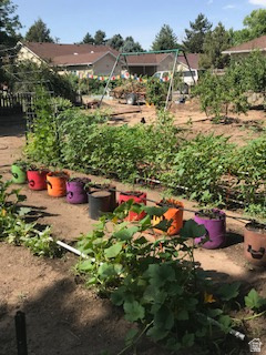 IRFRED PARK SUB - Residential