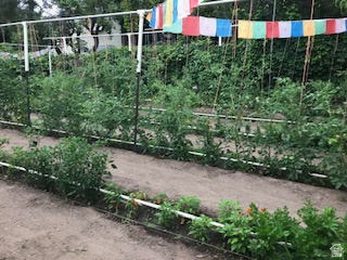 IRFRED PARK SUB - Residential