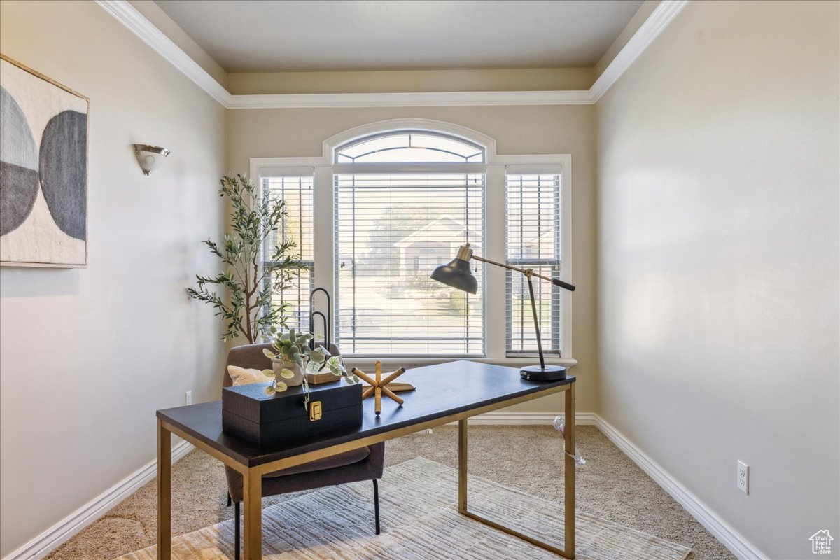 COOK'S COUNTRY COVE - Residential