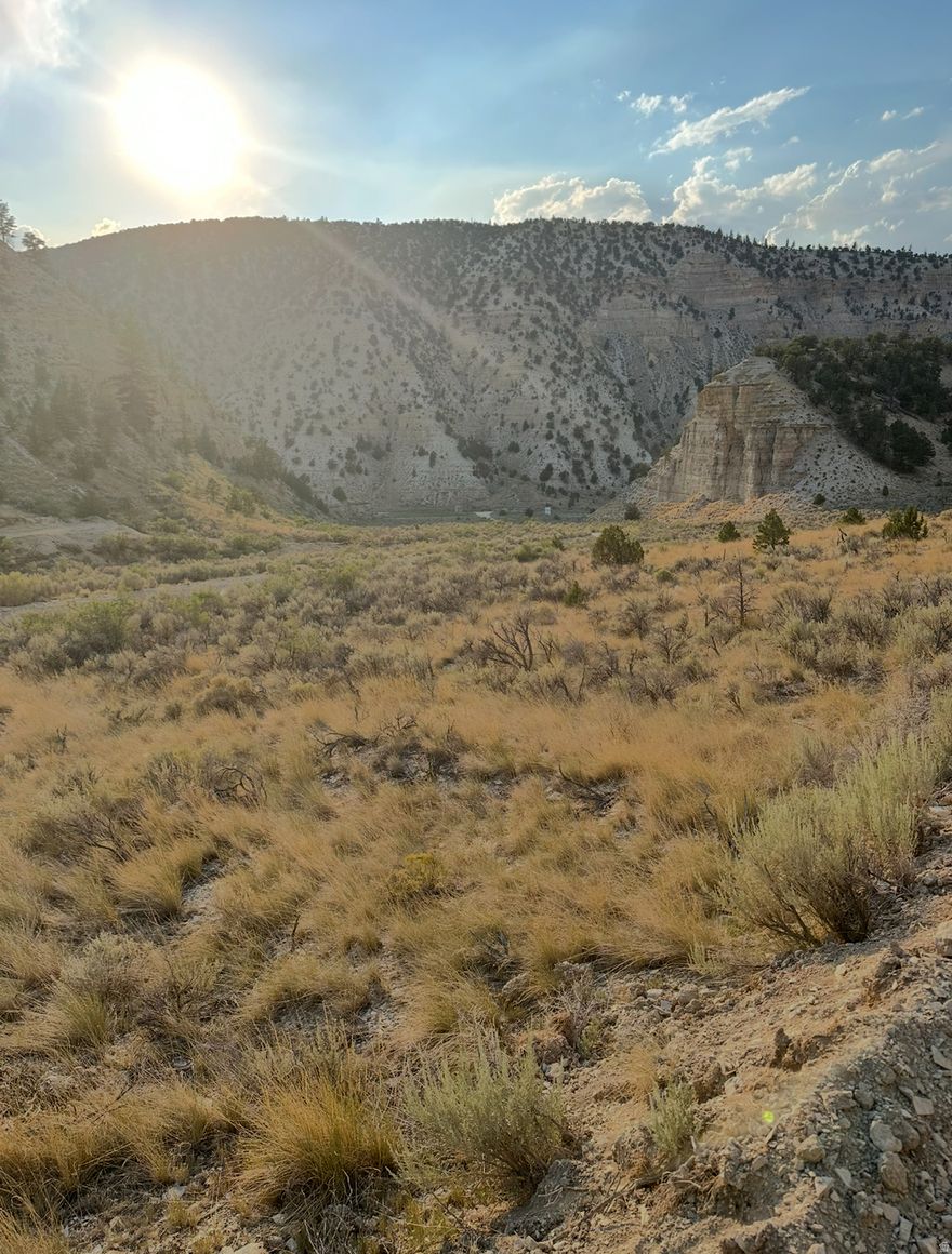 Lot 1 Parcel id 00-0029-3153 (293153) Property includes large building site/driveway with State Engineered house plans. Located 15 mins South West off Highway 40 and STRAWBERRY RIVER RD in Duchesne County. Property borders DWR (Public lands) with over 12,000 acres that connects to Ashley forest just 20 min up the road. Lake Canyon Lake is 5 min around the corner. Starvation Reservoir and shopping is about a 25 min drive from property.
