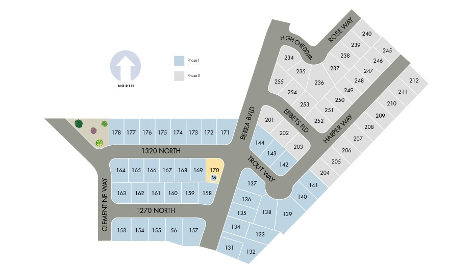 PROSPERITY AT OVERLAKE SUBDIVISION - Residential