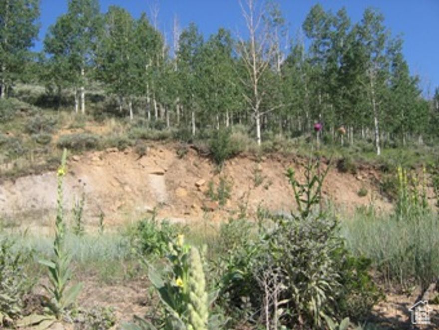 This 2.5-acre parcel is already excavated and ready for building. It has all the utilities at the corner of the lot. 2.5 acres or greater can have horses on their property in Aspen Cove Estates. This property has amazing close views of Madsen Bay. It has an area for extra parking on the lot that was excavated. Scofield is about an hour South East of Provo UT on Hwy 6 to turn off to Scofield. This is a gated community for better security. Some of the best fishing in the State is located at Scofield Reservoir. Zoned Mountain Range. So, you can only build one cabin on this parcel. There are culinary water, electric, and phone lines brought to the property. There is a locked gate. It is the second lot up from the main gate on the right as the road is on the left-hand bend to go up the hill. The property is Lot #4 - see attached plat.