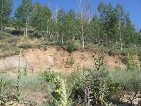 Tiny photo for 4 ASPEN COVE DR #4, Scofield, UT 84526 (MLS # 2071971)