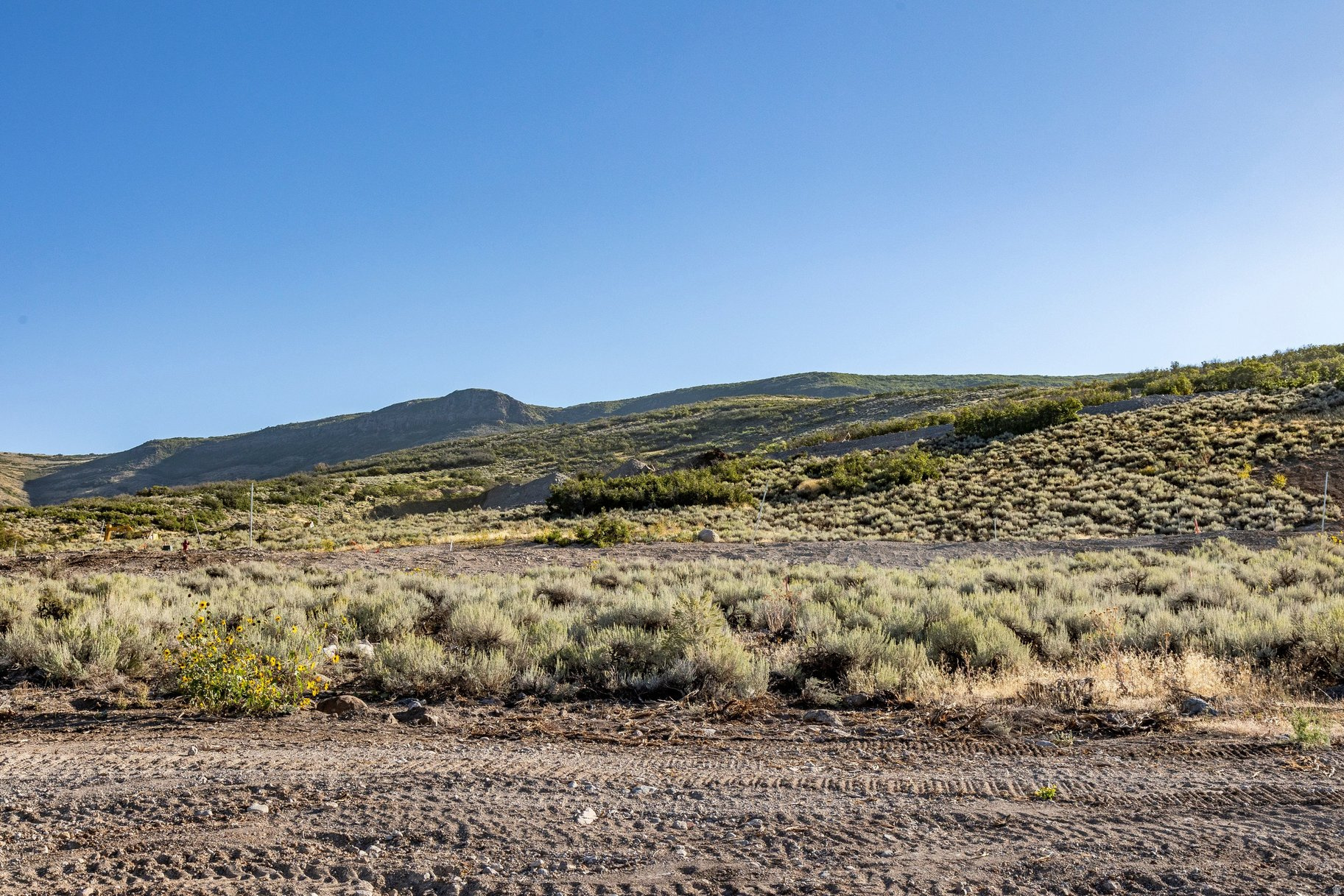 TIMP GROVE / JORDANELLE RIDGE - Residential