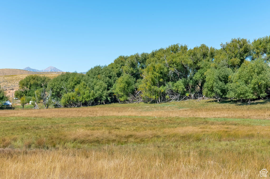 1570 W Main Rd, Wallsburg, Utah image 8