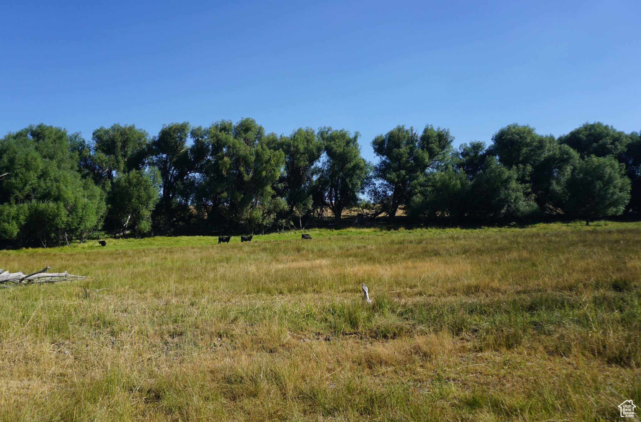 1570 W Main Rd, Wallsburg, Utah image 18