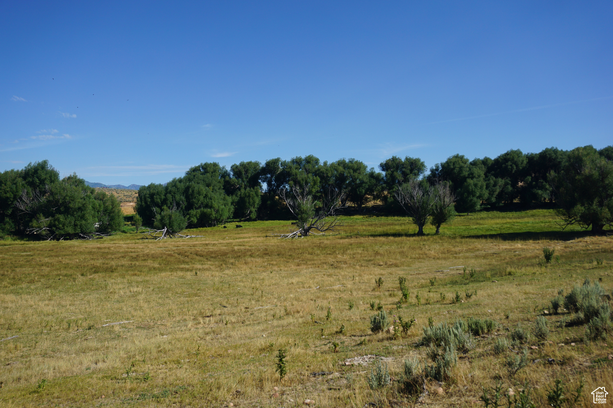 1570 W Main Rd, Wallsburg, Utah image 20
