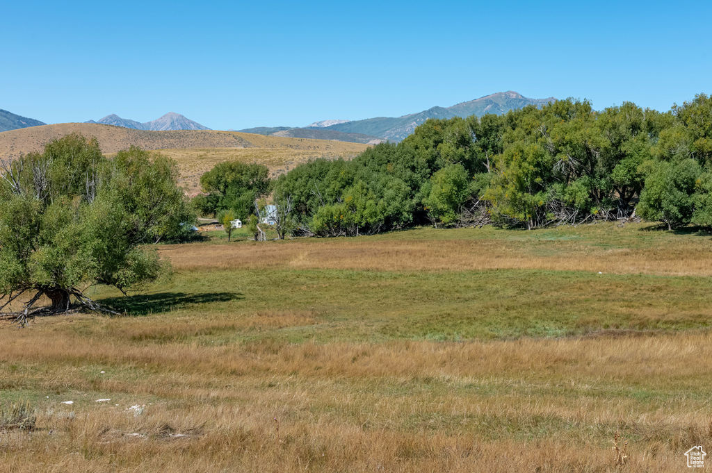 1570 W Main Rd, Wallsburg, Utah image 9