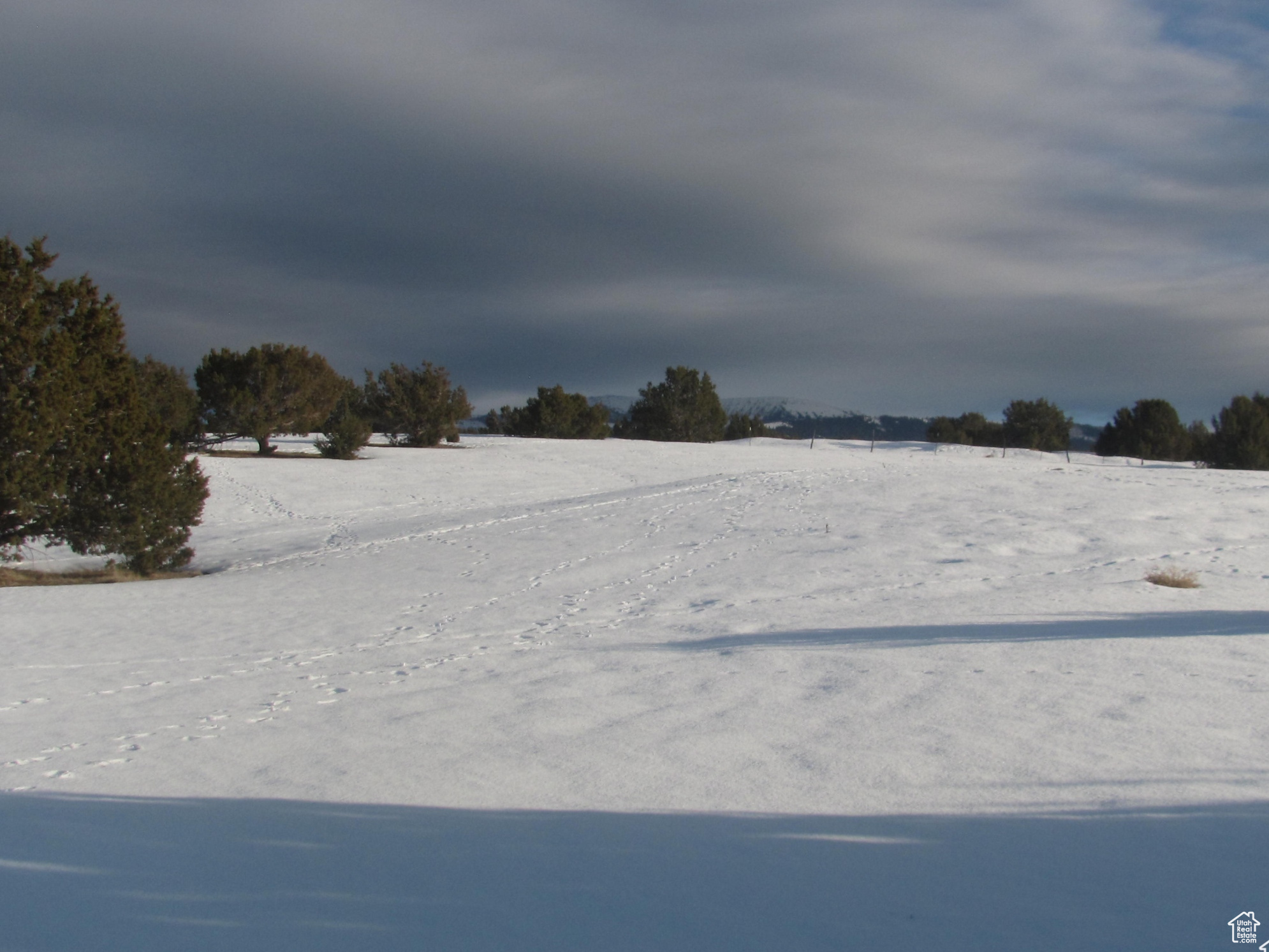 JUNIPER SPRING - Land